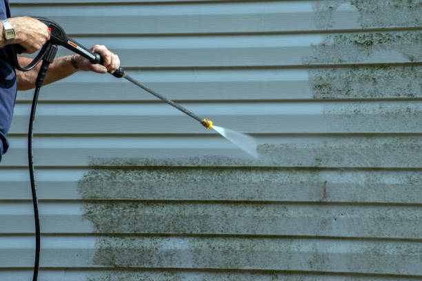 Professional Pressure Washing Services in Long Neck, DE